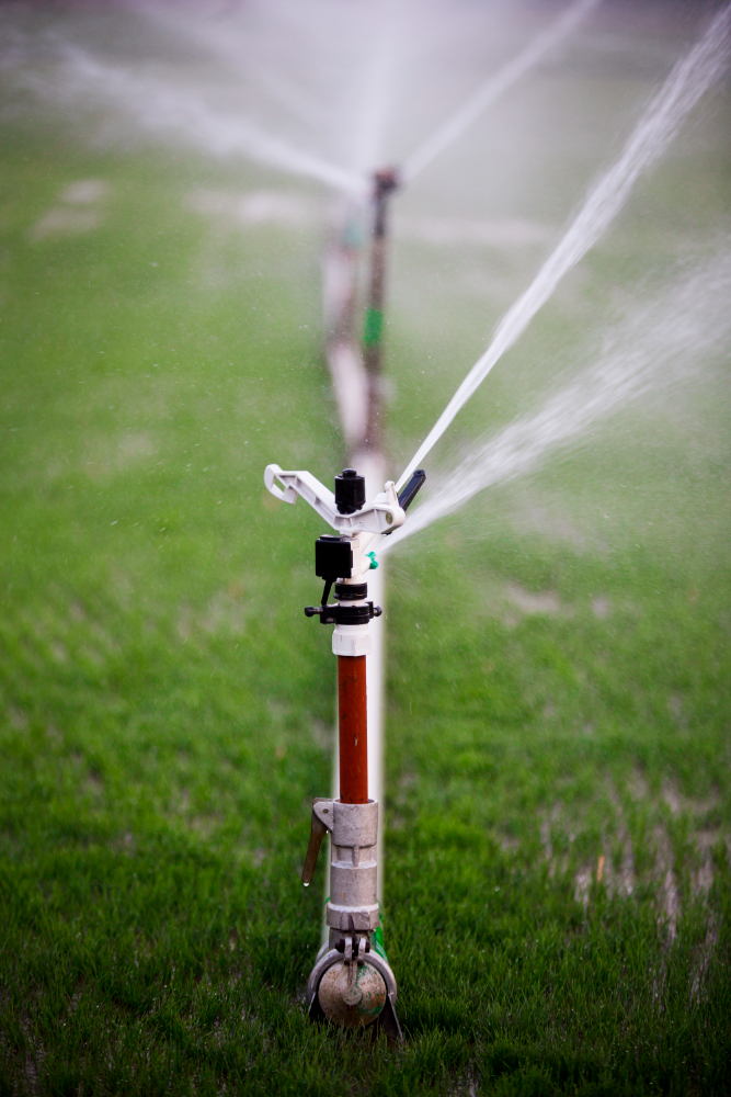 yard sprinkler